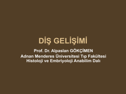 DİŞ GELİŞİMİ - Adnan Menderes Üniversitesi