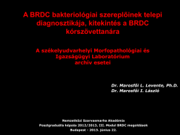 3. Marosfői Levente A BRDC bakteriológiai szereplőinek telepi
