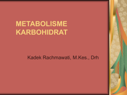 METABOLISME KARBOHIDRAT - UNAIR | E