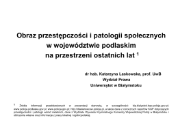 Prof. dr hab. Katarzyna Laskowska, Obraz przestępczości i patologii