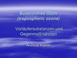 Bodennahes Ozon Vorläufersubstanzen und Gegenmaßnahmen