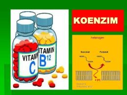 koenzim-1