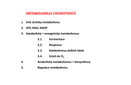 Mikrobiologie kap. 8. Metabolismus
