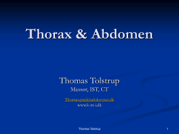Thorax & Abdomen
