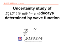 由波函数引起的衰变的不确定性研究