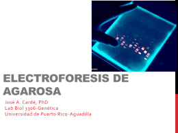 Lab7_Electroforesis_Agarosa