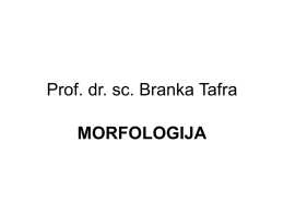 Prof. dr. sc. Branka Tafra