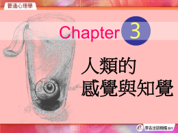 第3章教材chapter 3