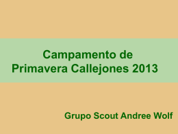 Presentaci+_n-Campri-Callejones-2013