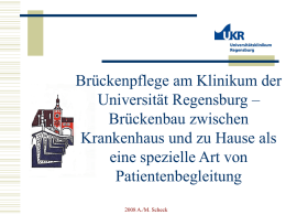 Brückenpflege Projekt aus Regensburg