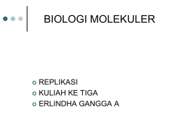 Replikasi Biomol