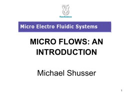 MICROFLOWS