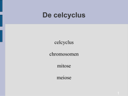 Celcyclus, mitose, meiose