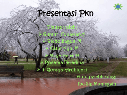 Presentasi Pkn…2