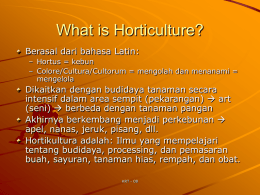 What is Horticulture?