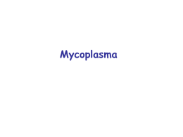 Mycoplasma Généralités