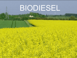 Biodiesel 1 (Powerpoint) - Danmarks Fysik