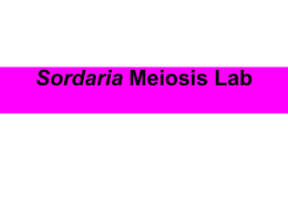 AP_Biology_Labs_files/Sordaria On line Lab