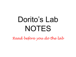 Dorito`s Lab explained