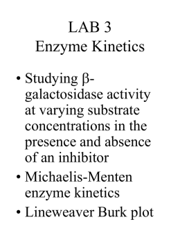 LAB 3 Enzyme Kinetics
