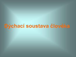 Dychaci_soustava