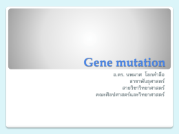 DNA mutation and repair mechanism