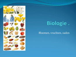 les Biologie voor Jou Bloemen vruchten en zaden