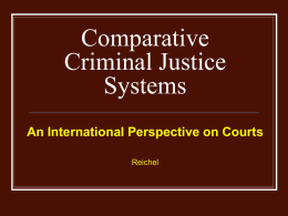 Intl. Perspective on Courts Chapter 7