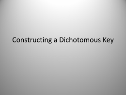 Constructing a Dichotomous Key