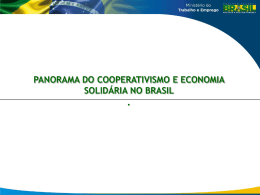 Panomara do Coop e EcoSol no Brasil (Baixar arquivo)