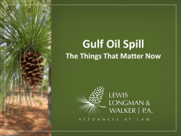 Gulf Oil Spill - The Things That Matter Now