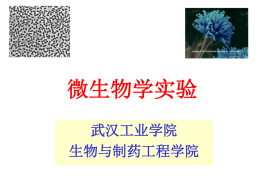播放/下载课件 - 武汉工业学院生物学实验教学示范中心