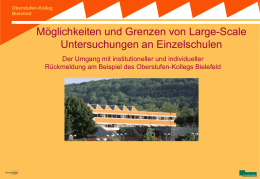 Large-Scale Untersuchungen an Einzelschulen.pps