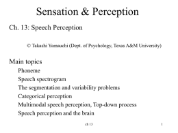 Ch 13 Speech Perception