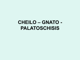 CHEILO – GNATO - PALATOSCHISIS