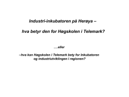 Inkubator Herøya_Rauland_07032013