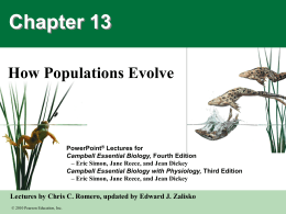 Lecture Slides