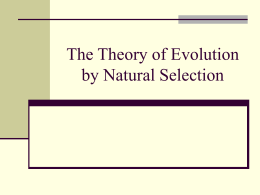 Natural Selection PowerPoint
