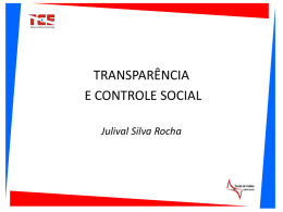 Julival Silva Rocha - Portal TCE-PA