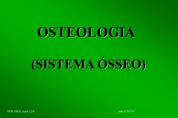 Aula 1.3 – Osteologia