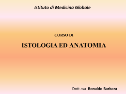 Lez 1 Tessuti - NATUROPATIA gruppo 2013