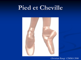 Pied et Cheville - CEFO-P-SD