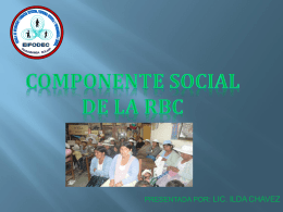 01 COMPONENTE SOCIAL RBC