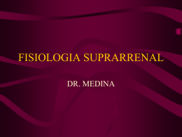 fisiologia suprarrenal - fisiopatologia2 Dr. Martín Medina