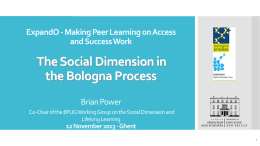 The Social Dimension of the Bologna Process