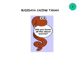 BUDIDAYA CACING TANAH