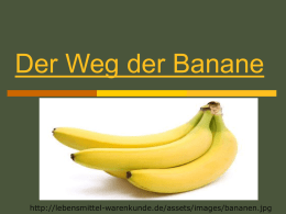 Der Weg der Banane - Hainberg