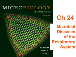 PowerPoint file