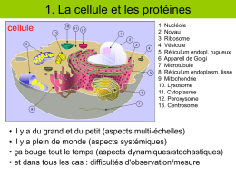 cours-sequences1