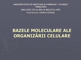 bazele moleculare ale organizării biochimice a celulelor